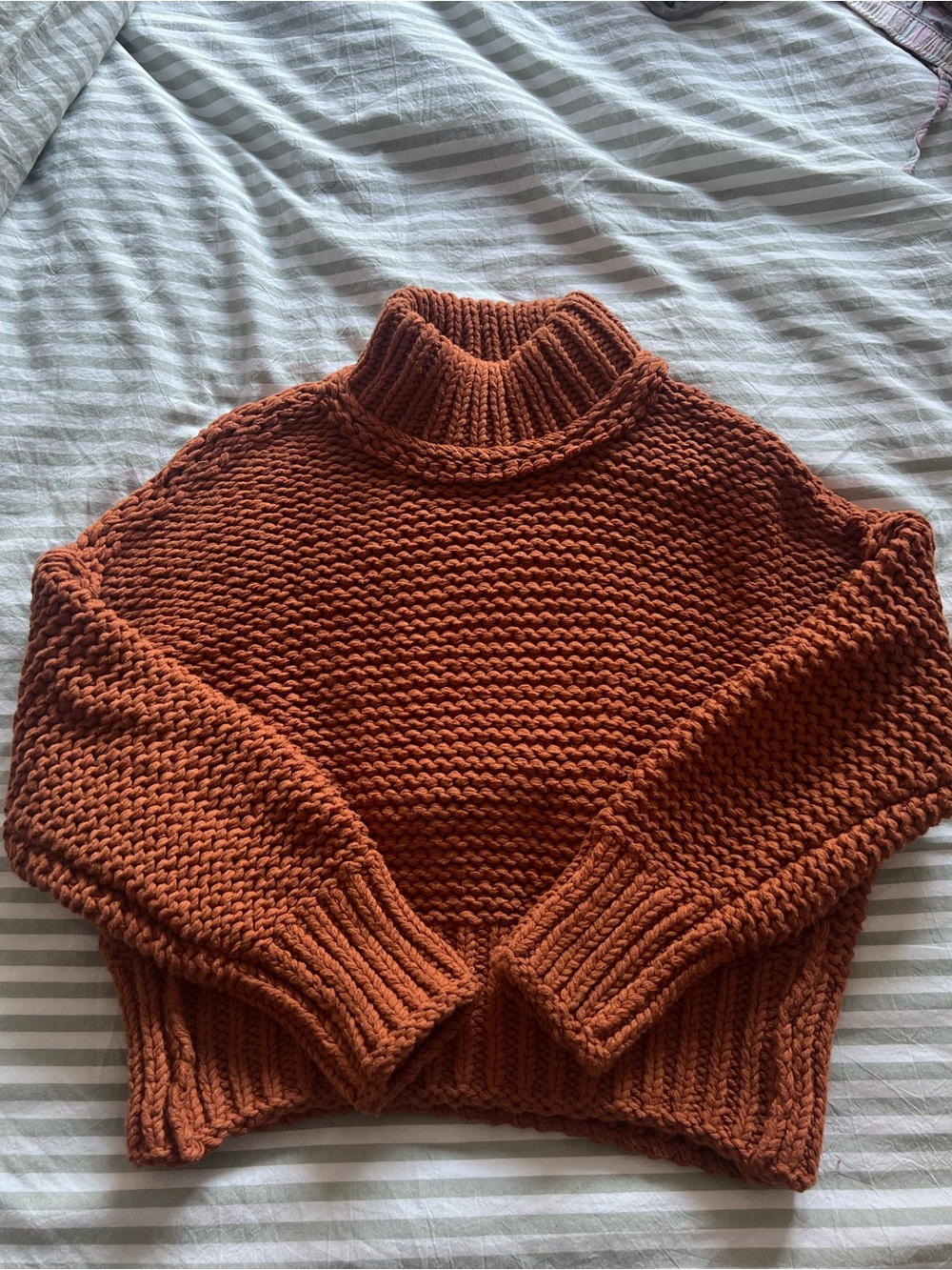 Free People Chunky Rust Turtleneck Sweater